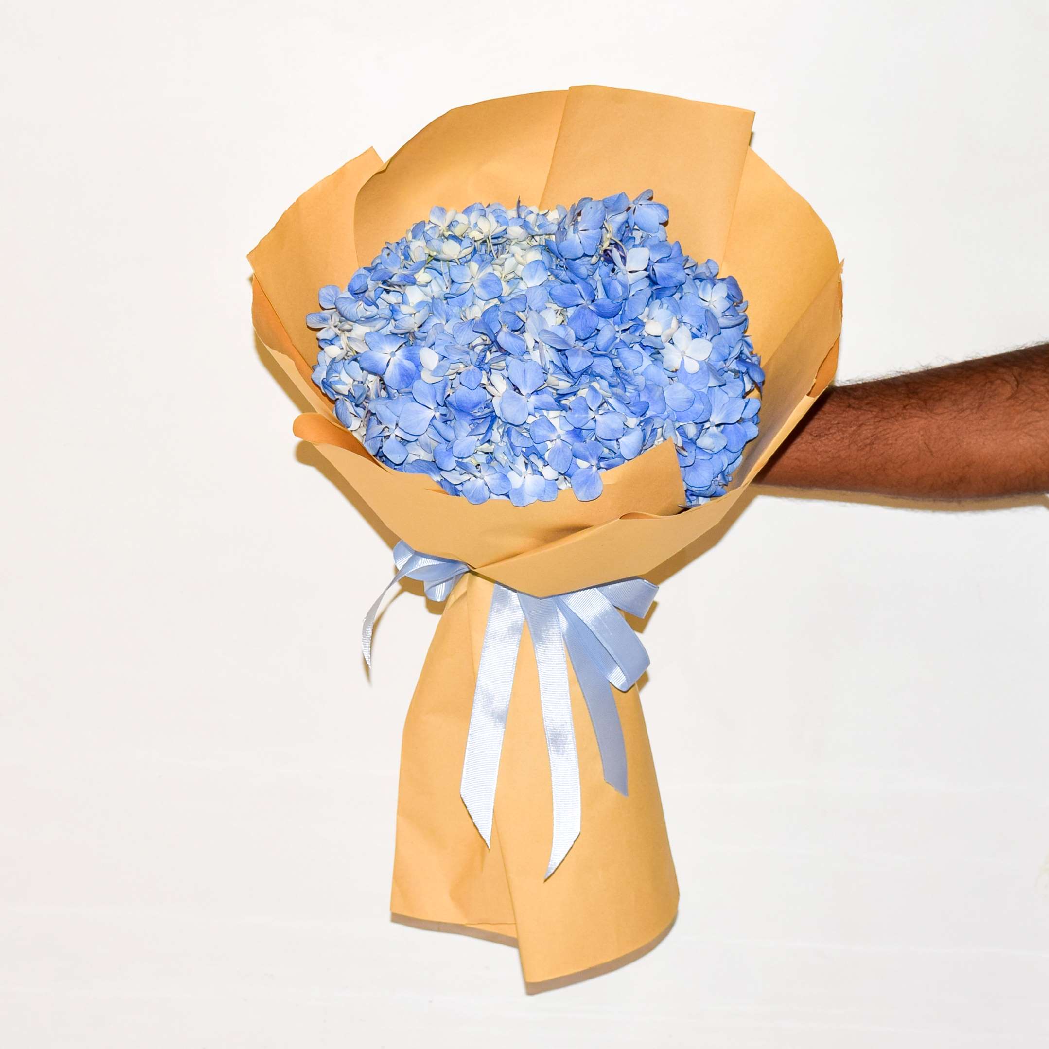 Hydrangea Flowers Dubai